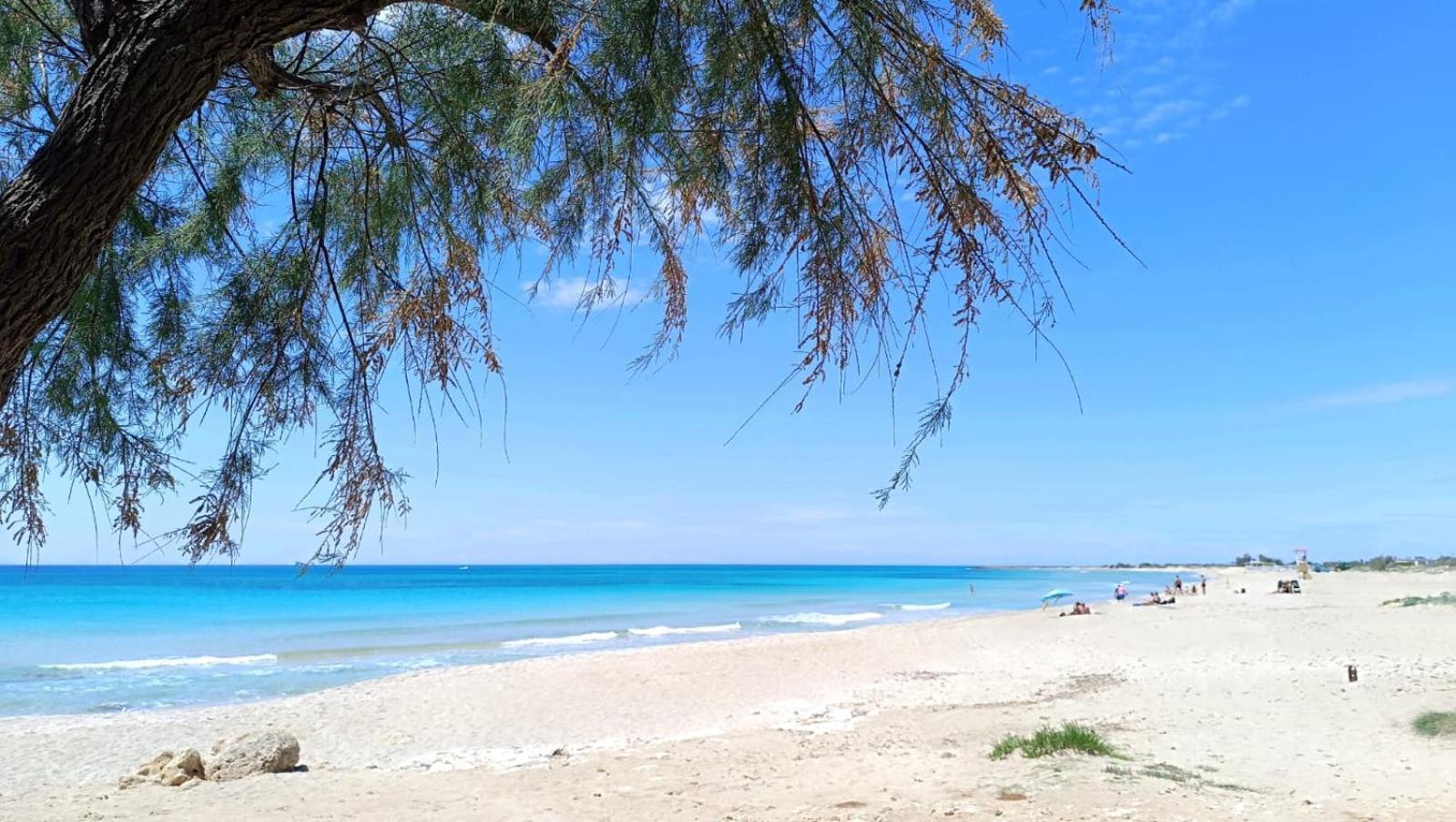 Casa Al Mare Le Dune Lido Marini Exteriér fotografie